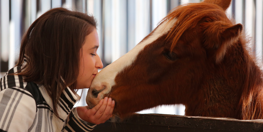 “Flying Change” Equine Therapy for Youth