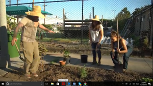 LA's Lima Bean Project